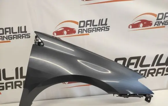 Renault Laguna III Fender