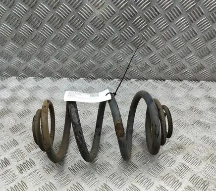 Fiat Talento Rear coil spring 6000620080
