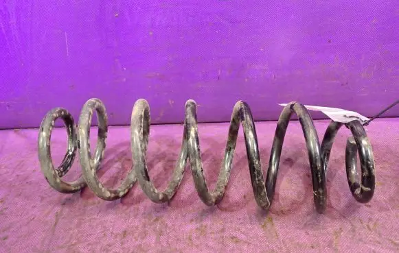 Rear coil spring