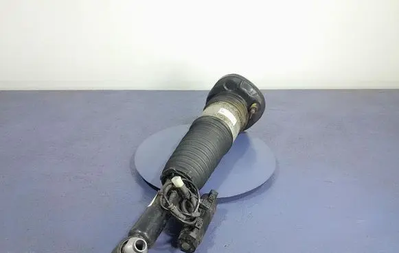 Rear shock absorber/damper
