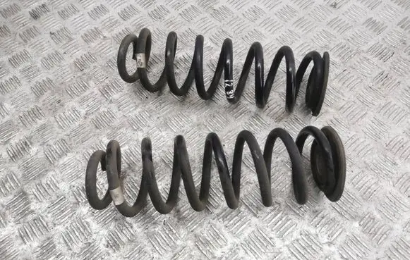 Rear coil spring