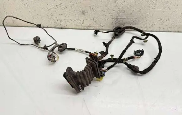 Volkswagen PASSAT B7 Front door wiring loom 3AB971121BG 1K0959843C