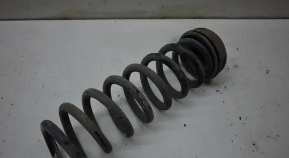 Rear coil spring