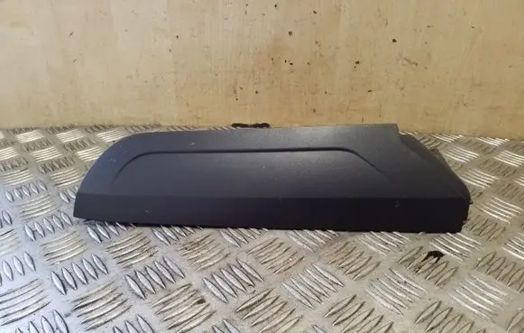 Rear/tail light trim molding