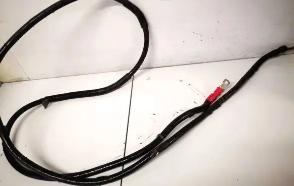 Other wiring loom