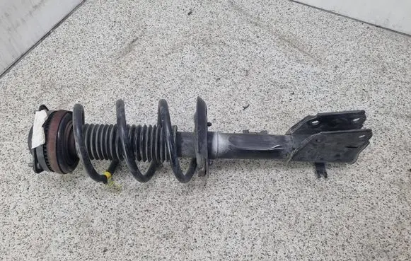 Chrysler Pacifica Front shock absorber with coil spring P68248726AD 032171 824904011572