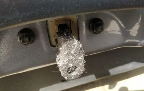 Hyundai ix35 Rear door check strap stopper