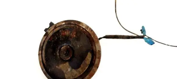 Horn signal