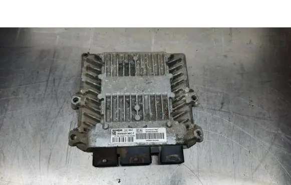 Engine control unit/module ECU