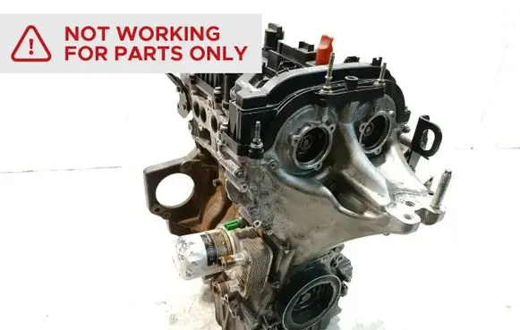 Ford Focus Engine M1DD