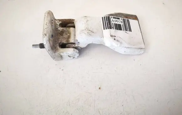 Rear door lower hinge