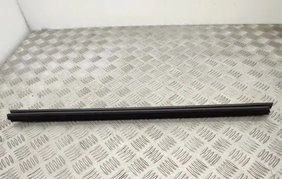 Renault Zoe Rear door glass trim molding