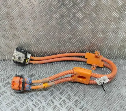 KIA Soul Electric car charging cable 91876E4000