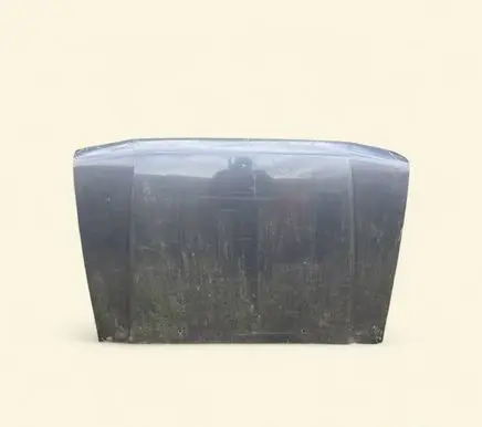 Mitsubishi Pajero Engine bonnet/hood 