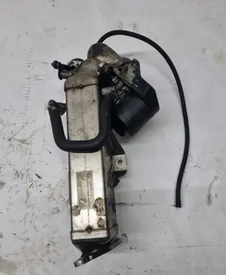 BMW 3 F30 F35 F31 EGR valve cooler 7810751 123398