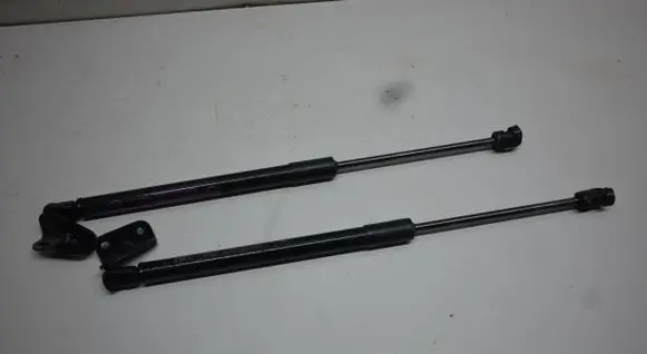 Tailgate/trunk strut/damper