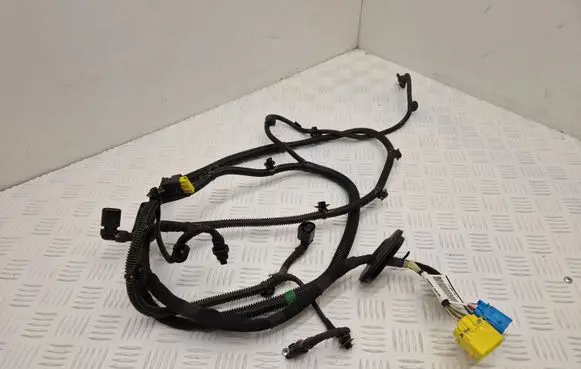 DS Automobiles 4 II Other wiring loom 9846148680