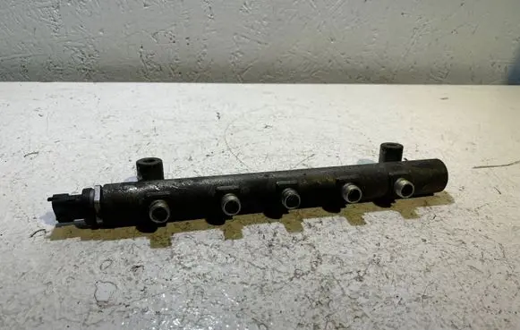 Chevrolet Captiva Fuel main line pipe 0445214174 003531