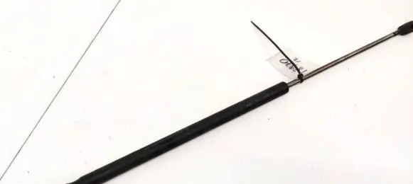 Ford Focus C-MAX Tailgate/trunk strut/damper