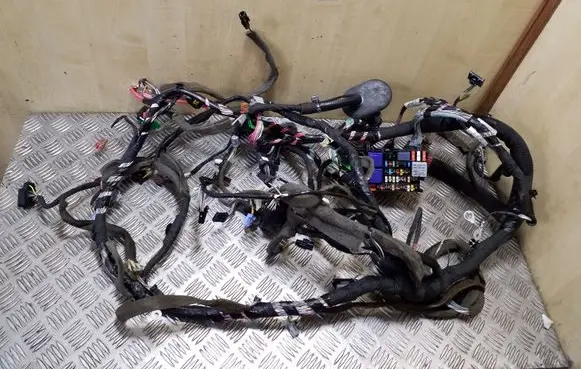 Renault Scenic III - Grand scenic III Other wiring loom 240185965R