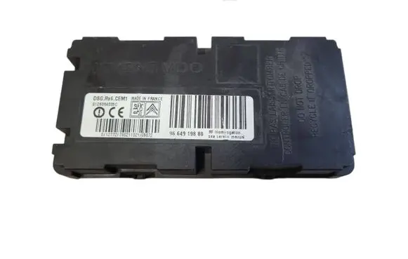 Citroen C5 Tire pressure control unit 9664919880