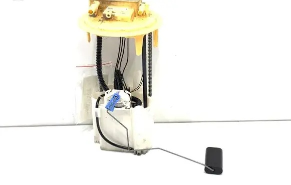 Peugeot Partner III In-tank fuel pump 9809359380