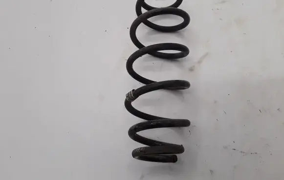 Front coil spring