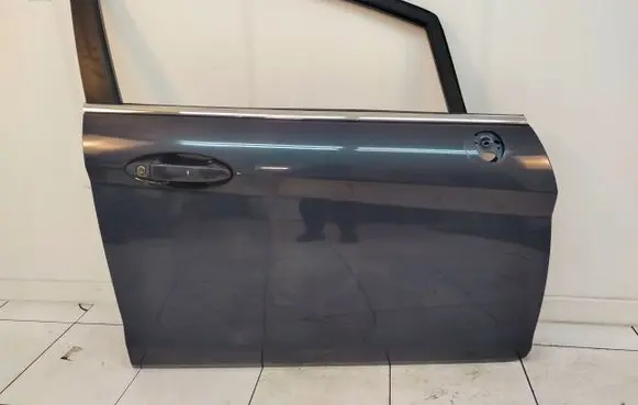 Ford Fiesta Front door 