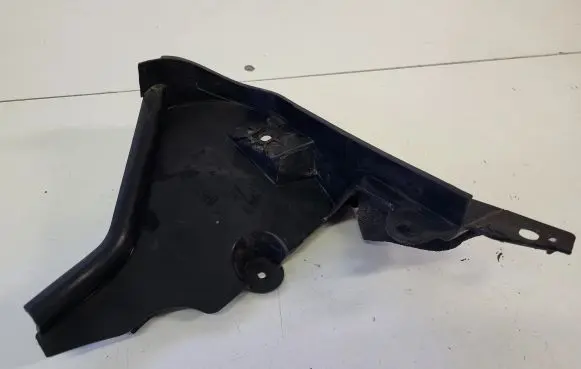 Renault Zoe Windshield trim 668628391R
