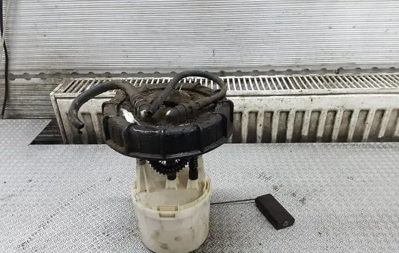 Ford Connect In-tank fuel pump 5T169275