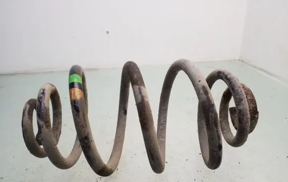 Volkswagen PASSAT B5 Rear coil spring