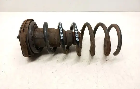Rear coil spring