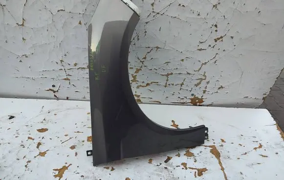 Ford Focus Fender 