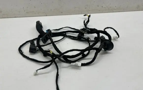 Smart #1 Rear door wiring loom 8891056669