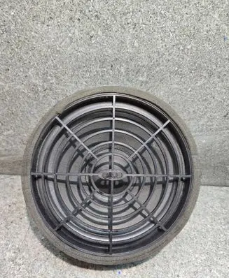 Front door speaker