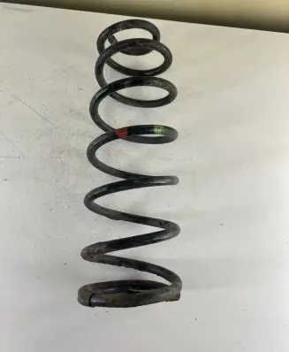 Rear coil spring