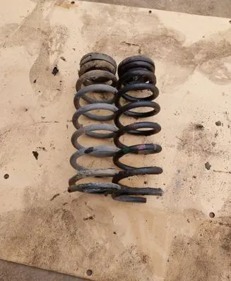 Hyundai Sonata Rear coil spring