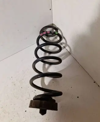 Rear coil spring