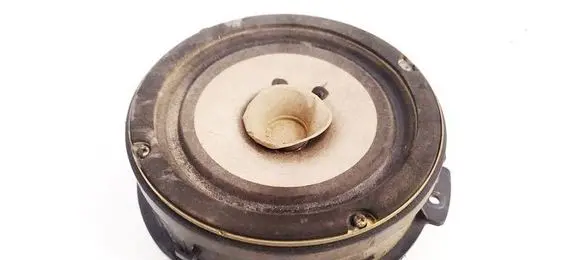 Hyundai Santa Fe Front door speaker 9633026800