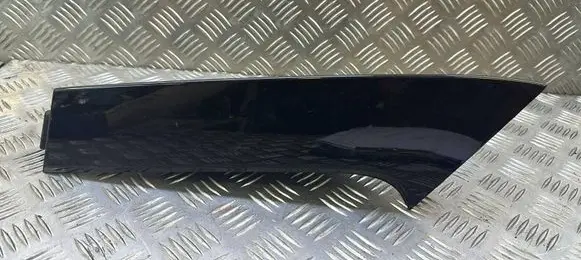 Rear/tail light trim molding