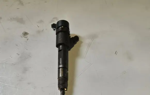 Renault Megane II Fuel injector 8200389369 0445110230