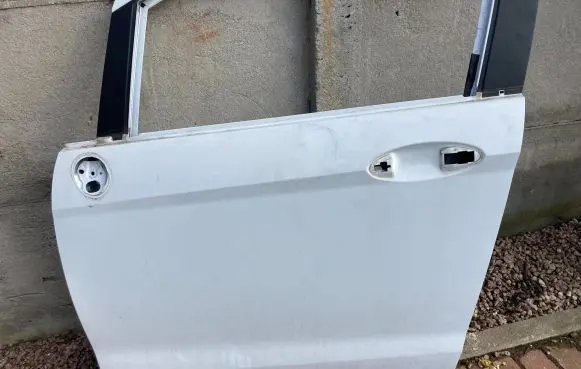 Ford B-MAX Front door