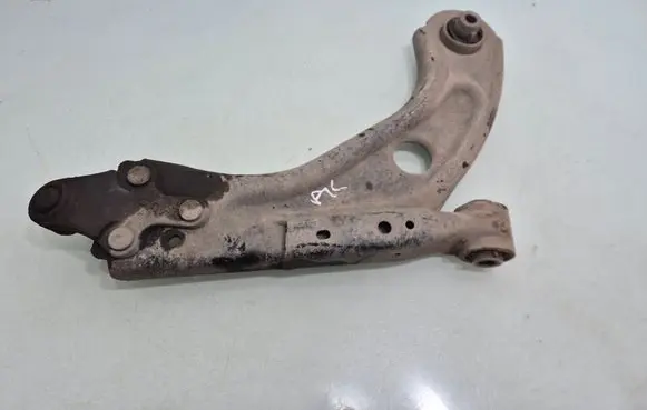 Front lower control arm/wishbone
