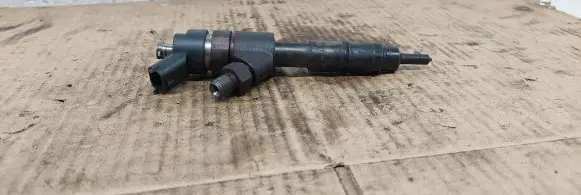 Fiat Ducato Fuel injector 0445120002