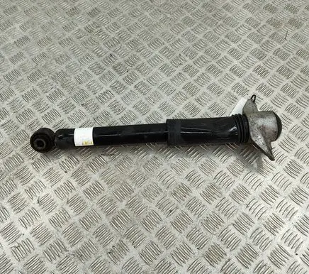 Lexus UX Rear shock absorber/damper 4853079305