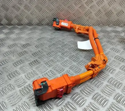 Tesla Model 3 Other wiring loom 110900000E
