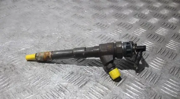 Dacia Dokker Fuel injector 0445110485