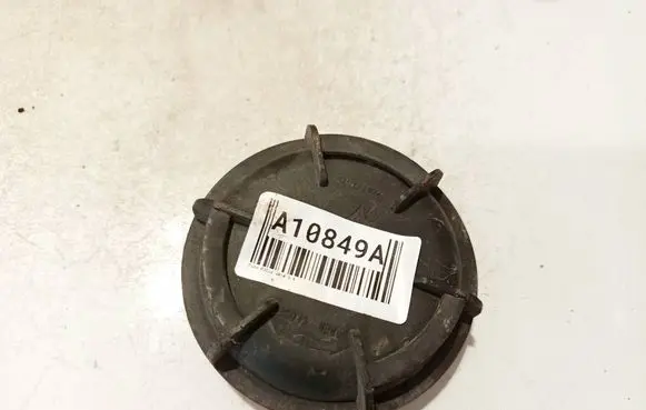 Headlight/headlamp dust cover
