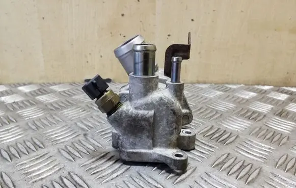 Thermostat/thermostat housing