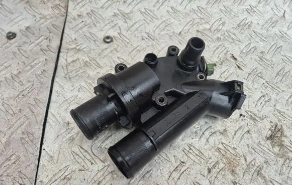 Thermostat/thermostat housing